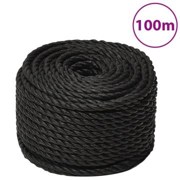  Work Rope Black 12 mm 100 m Polypropylene