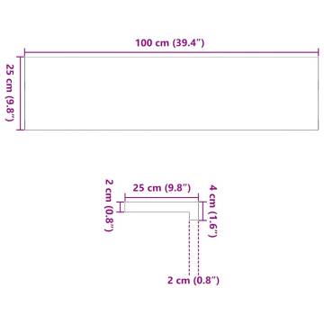  Window Sills 2 pcs Untreated 100x25x2 cm Solid Wood Oak