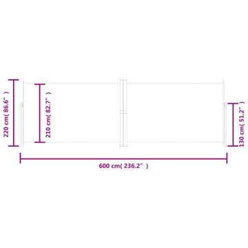 Retractable Side Awning Anthracite 220x600 cm