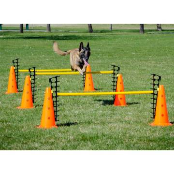 FitPAWS Hurdle Set