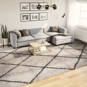 Shaggy Rug PAMPLONA High Pile Modern Beige and Anthracite 300x400 cm