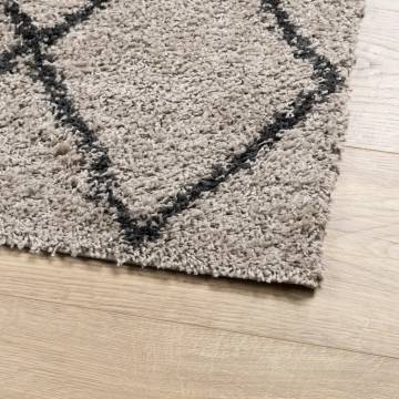 Shaggy Rug PAMPLONA High Pile Modern Beige and Anthracite 300x400 cm