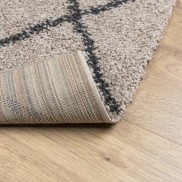 Shaggy Rug PAMPLONA High Pile Modern Beige and Anthracite 300x400 cm