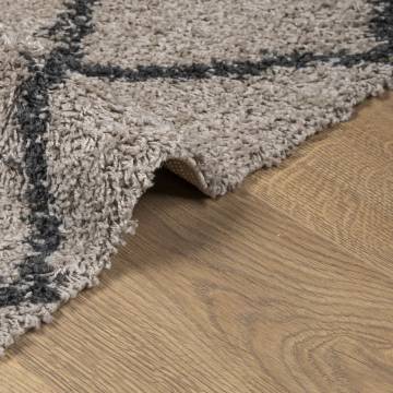 Shaggy Rug PAMPLONA High Pile Modern Beige and Anthracite 300x400 cm