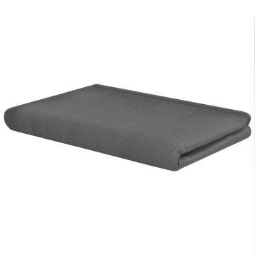 Tent Carpet 250x400 cm Anthracite