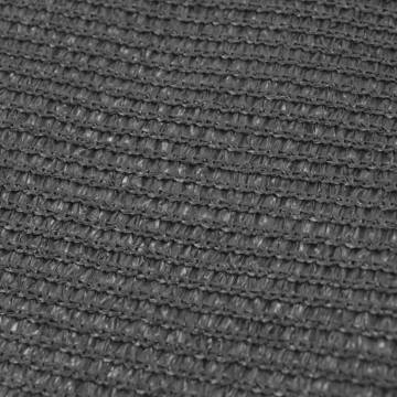 Tent Carpet 250x400 cm Anthracite