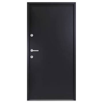 Front Door Anthracite 100x200 cm Aluminium