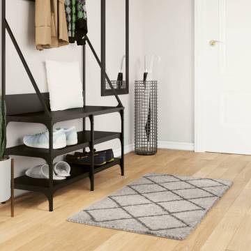 Shaggy Rug High Pile Modern Beige and Anthracite 60x110 cm