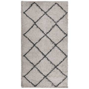 Shaggy Rug High Pile Modern Beige and Anthracite 60x110 cm