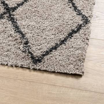 Shaggy Rug High Pile Modern Beige and Anthracite 60x110 cm