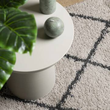 Shaggy Rug High Pile Modern Beige and Anthracite 60x110 cm