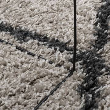 Shaggy Rug High Pile Modern Beige and Anthracite 60x110 cm