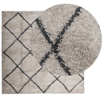 Shaggy Rug PAMPLONA High Pile Modern Beige and Anthracite 240x240 cm