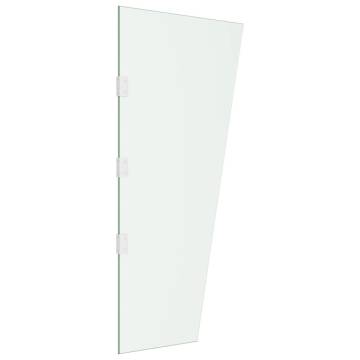 Side Panel for Door Canopy Transparent 50x100 cm Tempered Glass