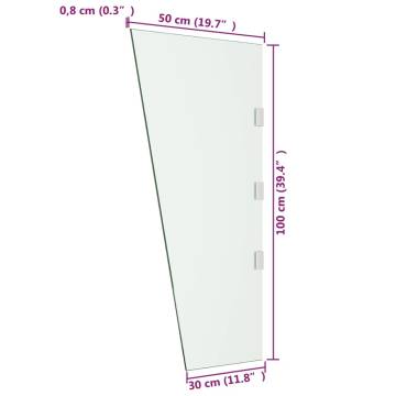 Side Panel for Door Canopy Transparent 50x100 cm Tempered Glass