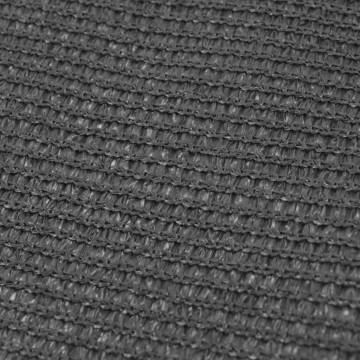 Tent Carpet 300x400 cm Anthracite