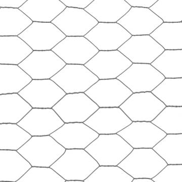 Chicken Wire Fence Steel with PVC Coating 25x0.75 m Grey