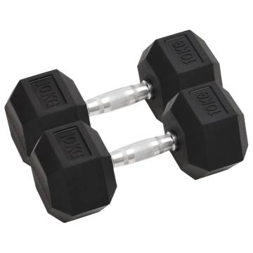 Dumbbells 2 pcs 20 kg Cast Iron