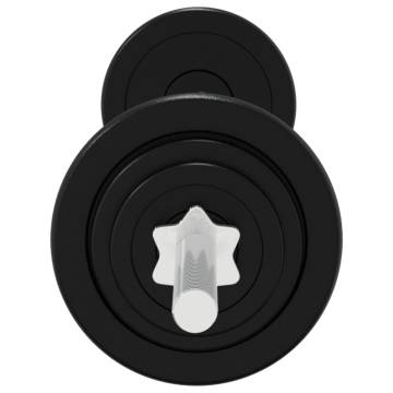 Barbell and Dumbbell Set 30 kg Cast Iron