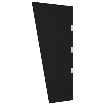 Side Panel for Door Canopy Black 50x100 cm Tempered Glass