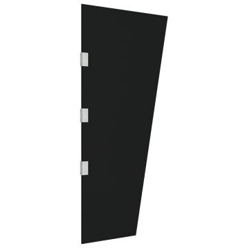 Side Panel for Door Canopy Black 50x100 cm Tempered Glass