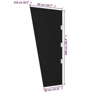 Side Panel for Door Canopy Black 50x100 cm Tempered Glass