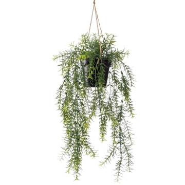 Emerald Artificial Asparagus Hanging Bush 50 cm in Pot