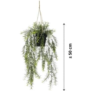 Emerald Artificial Asparagus Hanging Bush 50 cm in Pot