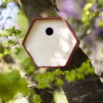 Capi Bird House Hive 1 19x23x20 cm Round Hole Brown