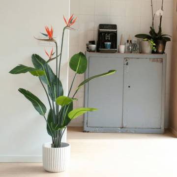 Emerald Artificial Plant Strelitzia in Pot with Flowers 120 cm