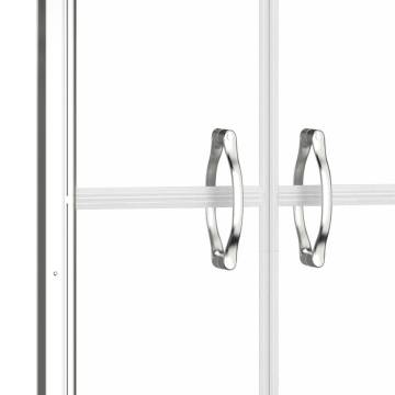 Shower Door Clear ESG 91x190 cm