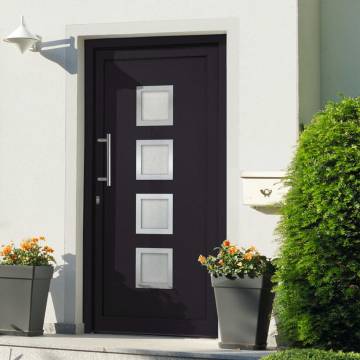 Front Door Anthracite 108x208 cm