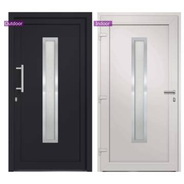 Front Door Anthracite 108x208 cm