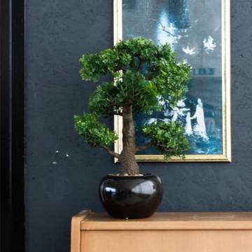 Emerald Artificial Ficus Mini Bonsai Green 47 cm 420006