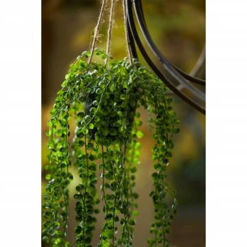 Emerald Artificial Ficus Pumila Hanging Bush in Pot 60 cm