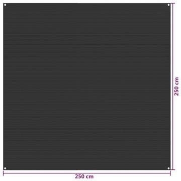 Tent Carpet 250x250 cm Anthracite HDPE