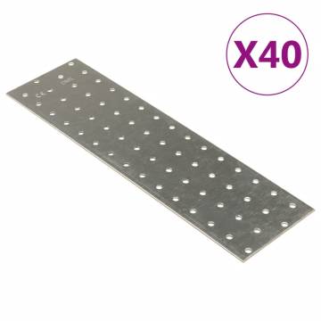 Perforated Plates 40 pcs 2 mm 300x80 mm Galvanised Steel