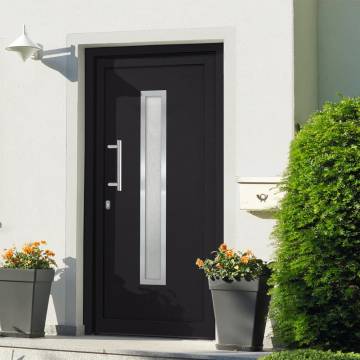 Front Door Anthracite 108x200 cm