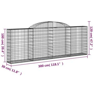 Arched Gabion Baskets 2 pcs 300x30x100/120 cm Galvanised Iron