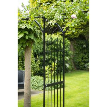 Nature Garden Arch Metal 114x66x232 cm Black