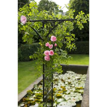 Nature Garden Arch Metal 114x66x232 cm Black