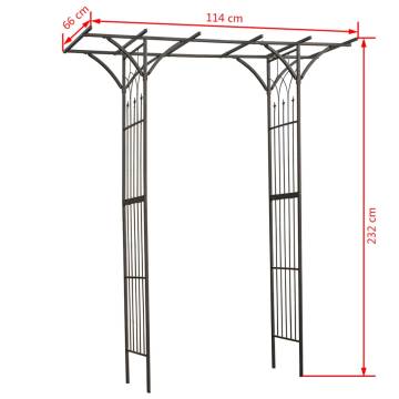 Nature Garden Arch Metal 114x66x232 cm Black