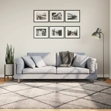 Shaggy Rug High Pile Modern Beige and Anthracite 200x200 cm