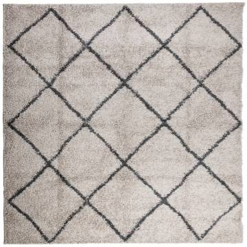 Shaggy Rug High Pile Modern Beige and Anthracite 200x200 cm