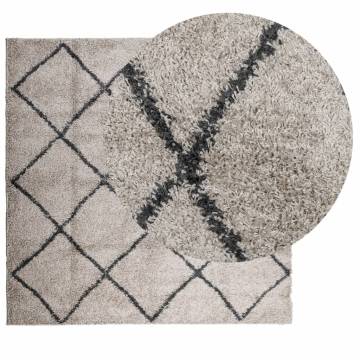 Shaggy Rug High Pile Modern Beige and Anthracite 200x200 cm