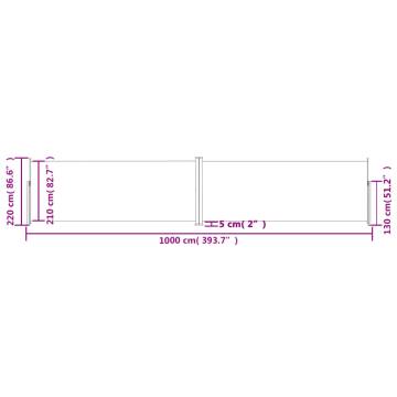 Retractable Side Awning Anthracite 220x1000 cm