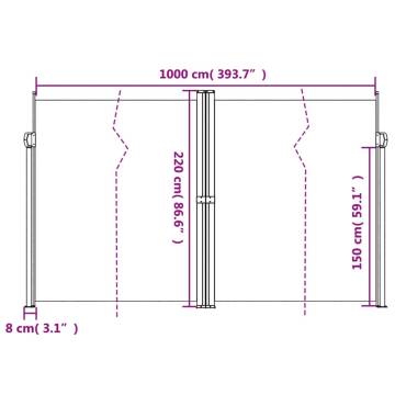 Retractable Side Awning Black 220x1000 cm