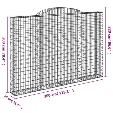 Arched Gabion Baskets 2 pcs 300x30x200/220 cm Galvanised Iron