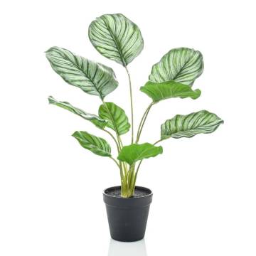 Emerald Artificial Calathea Orbifolia 45 cm in Pot