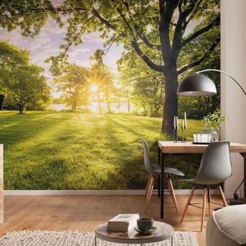 Komar Photo Mural Golden Moment 400x250 cm